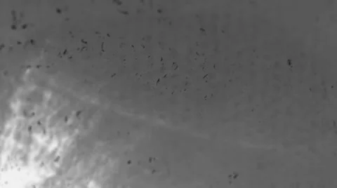 Ink splatter Stock Footage 33734157