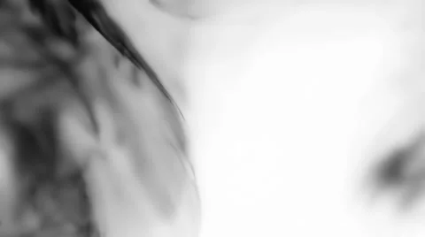 Ink splatter Stockbeeldmateriaal 38051943