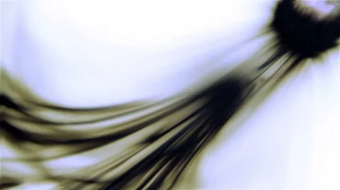 Ink splatter Stockbeeldmateriaal 39591264