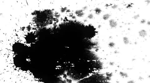 Ink splatter on white 03 Stock Footage 47564836