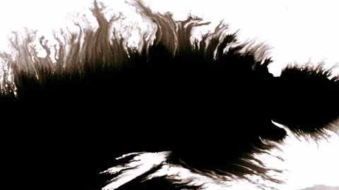 Ink spreading on white background dynamic abstract motion. Video stock 342356084