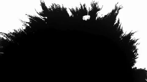 Ink spreads from corner across white surface creating shapes Stock Footage 329667553
