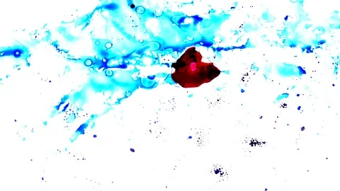 Ink squashed in glass Stock Footage 102032248