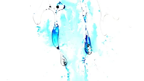 Ink squashed in glass Stock Footage 102033517