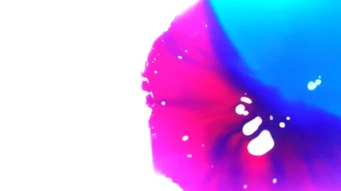 Ink squashed in glass Stock Footage 102033694