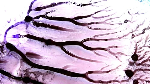 Ink squashed in glass Stock Footage 102033766