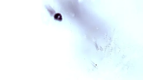 Ink squashed in glass Stock Footage 102033833