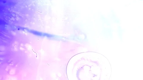 Ink squashed in glass Stock Footage 102034196