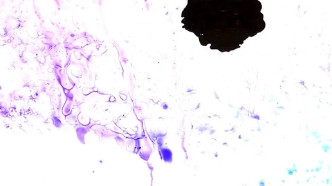 Ink squashed in glass Stock Footage 102034403