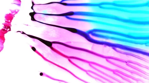 Ink squashed in glass Stock Footage 102034504