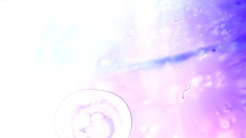 Ink squashed in glass Stock Footage 102035045