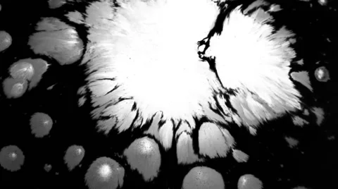 Ink stains drops, high definition FULL HD 1920Х1080 Stock Footage 55245582