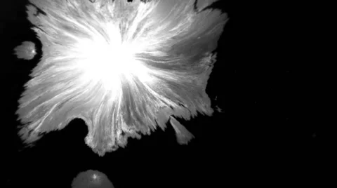Ink stains drops, high definition FULL HD 1920Х1080 Stock Footage 55245585