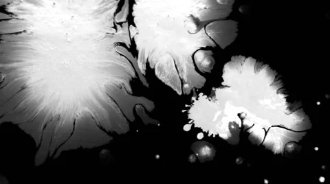 Ink stains drops, high definition FULL HD 1920Х1080 Stock Footage 55245590
