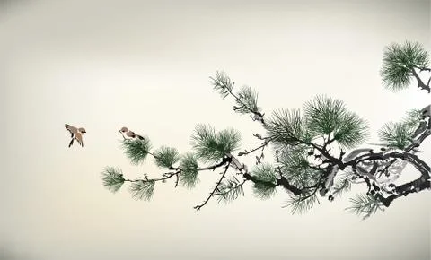 Ink style Pine Tree and birds Stock Illustration