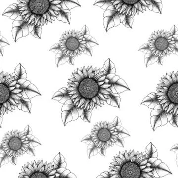 Ink sunflower drawing seamless background, vintage sunflower textile design Stock Illustration
