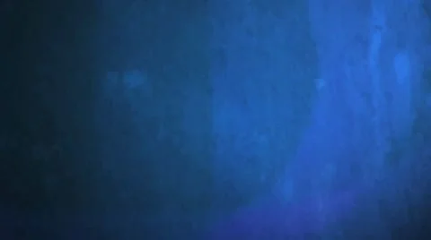 Ink template Стоковые After Effects