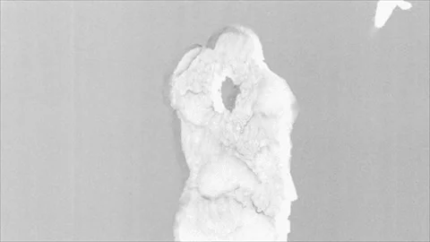 Ink textured torso sculpture with a bird, seamless loop Stock Footage 346767190