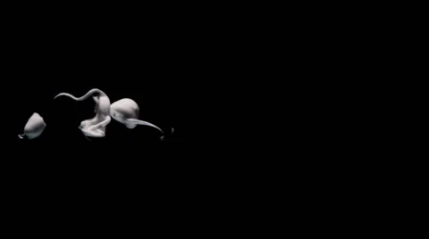 Ink threads and clumps in water from the left side on black background Video stock 64323388