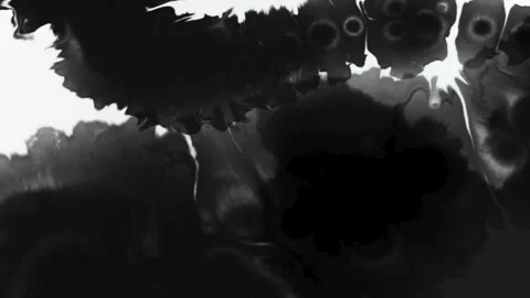 Ink transition 54 1 Stock Footage 295022407