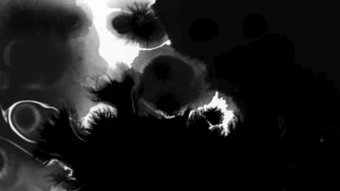 Ink transition 57 1 Stock Footage 295022422
