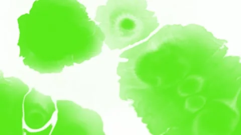 Ink transition green screen 67 1 Stock Footage 294743526