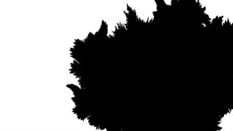 Ink transition splatter blot spreading Stock Footage 172427725