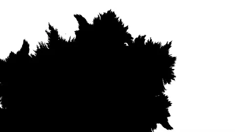 Ink transition splatter blot spreading Stock Footage 172427743
