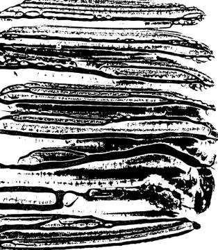 Ink vector sponge background. Vector illustration. Grunge hand drawn watercolor Stock Illustration