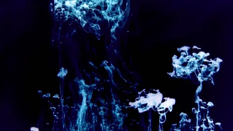 Ink in water. Abstract 스톡 동영상 127702242