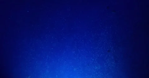 Ink in Water Background 動画素材 281157653