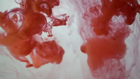 Ink in Water Stock Footage 71824214