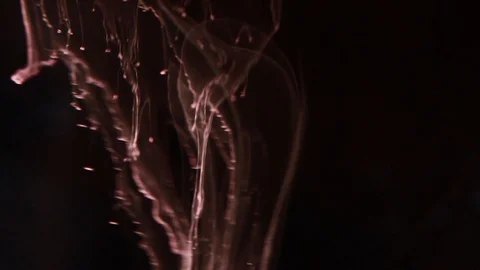 Ink in water, liquid overlay Stock Footage 87201211