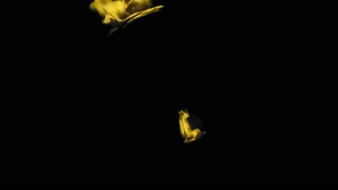 Ink water swirl. Parallel dimension portal. Black hole. Golden paint circle Stock Footage 131593510