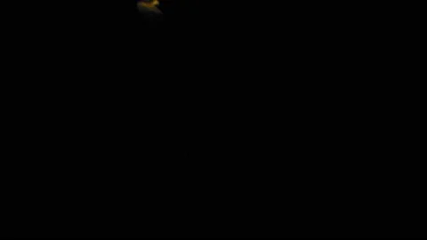 Ink water swirl. Parallel dimension portal. Black hole. Golden paint circle Stock Footage 131594032