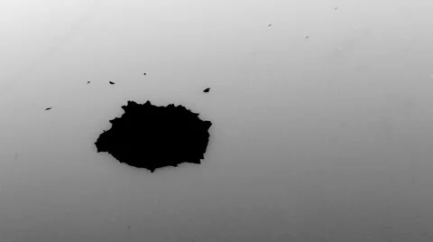 Inkblot 4 Stock Footage 995166