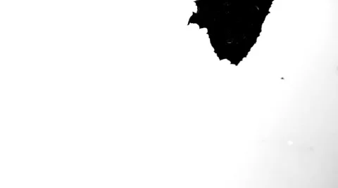 Inkblot Group 1 Stock Footage 995170
