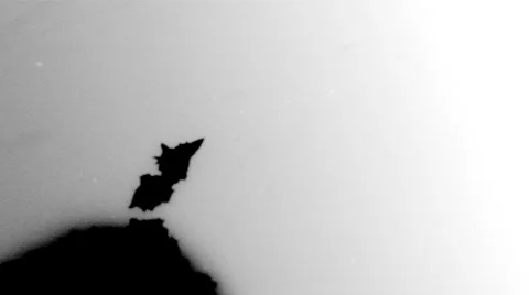Inkblot Group 2 Stock Footage 995177