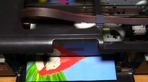 Inkjet printer prints the picture Stock Footage 51135715