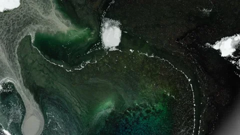 Inkscape, green silver white grey fluid art. Liquid marble texture Stock Footage 148995292