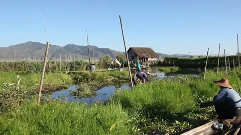 Inle Lake Stock Footage 12134837