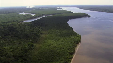 Inlets In Atlantic Rain Forest Video stock 65443360