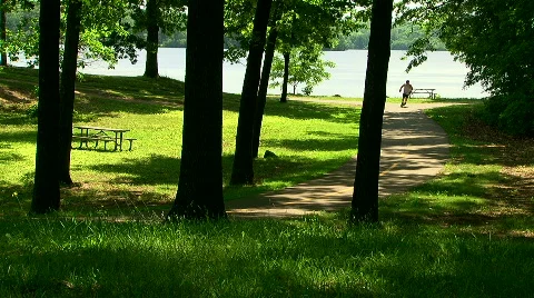 Inline skaters working out in park Stock Footage 484293
