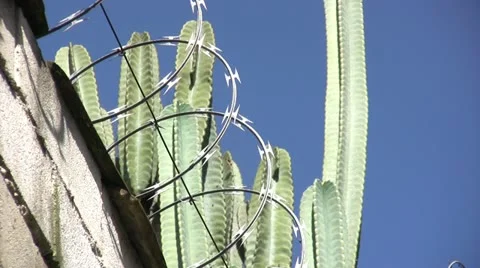 Inmate's perspective Stock Footage 20527946
