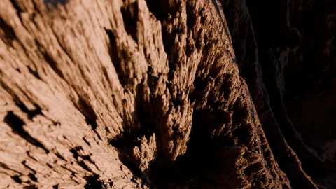 Inmersive Terrain Animations Stock Footage 272771258