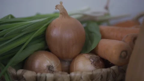 INNA GAIVORONSKAIA Stock Footage 147217341