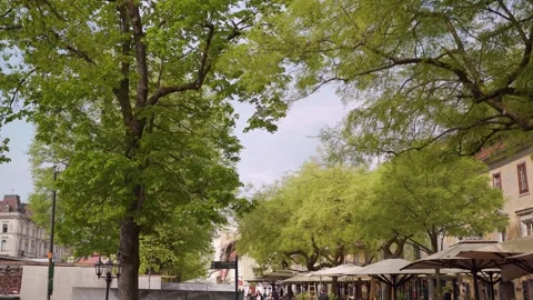 Inner city trees and shade umbrellas for gastronomy Stock Footage 280770402