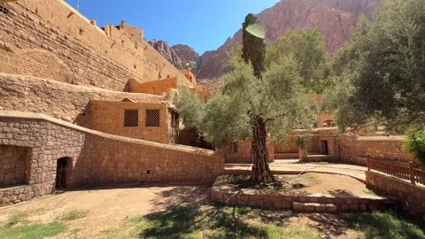Inner courtyard of monastery with olive trees Stock Footage 341452067