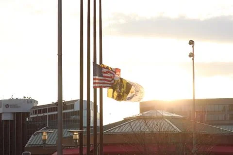 Inner Harbor Flags Stock Photos