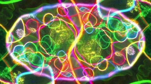 Inner microcosm of cell Microscopic structure 3d render of living abstract... Stock Photos